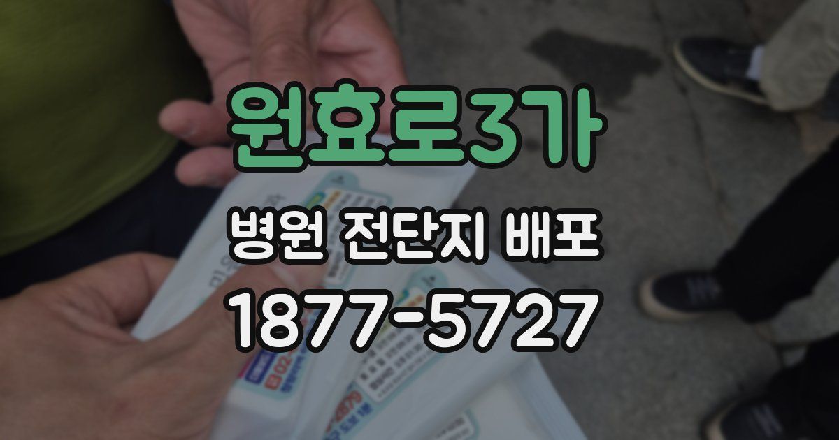 원효로3가 병원 전단지 배포