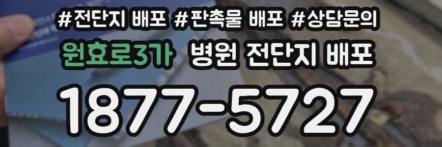 원효로3가 병원 전단지 배포