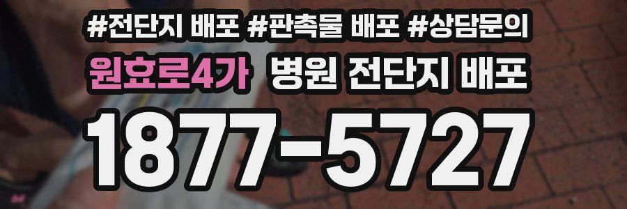 원효로4가 병원 전단지 배포