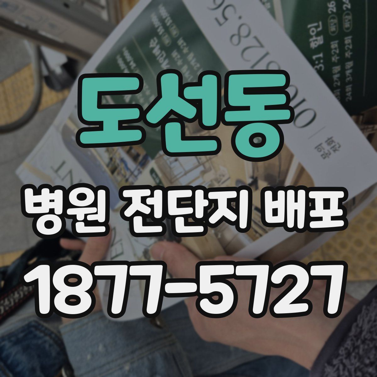 도선동 병원 전단지 배포