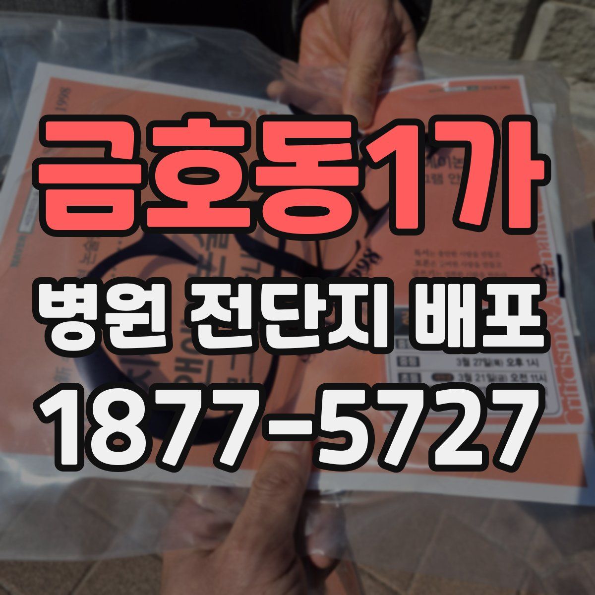 금호동1가 병원 전단지 배포