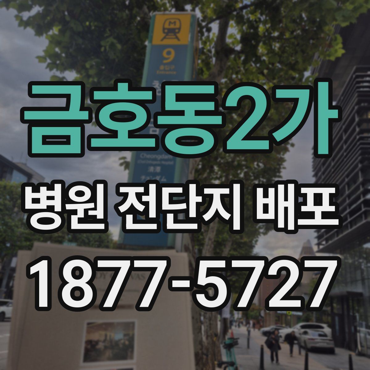 금호동2가 병원 전단지 배포