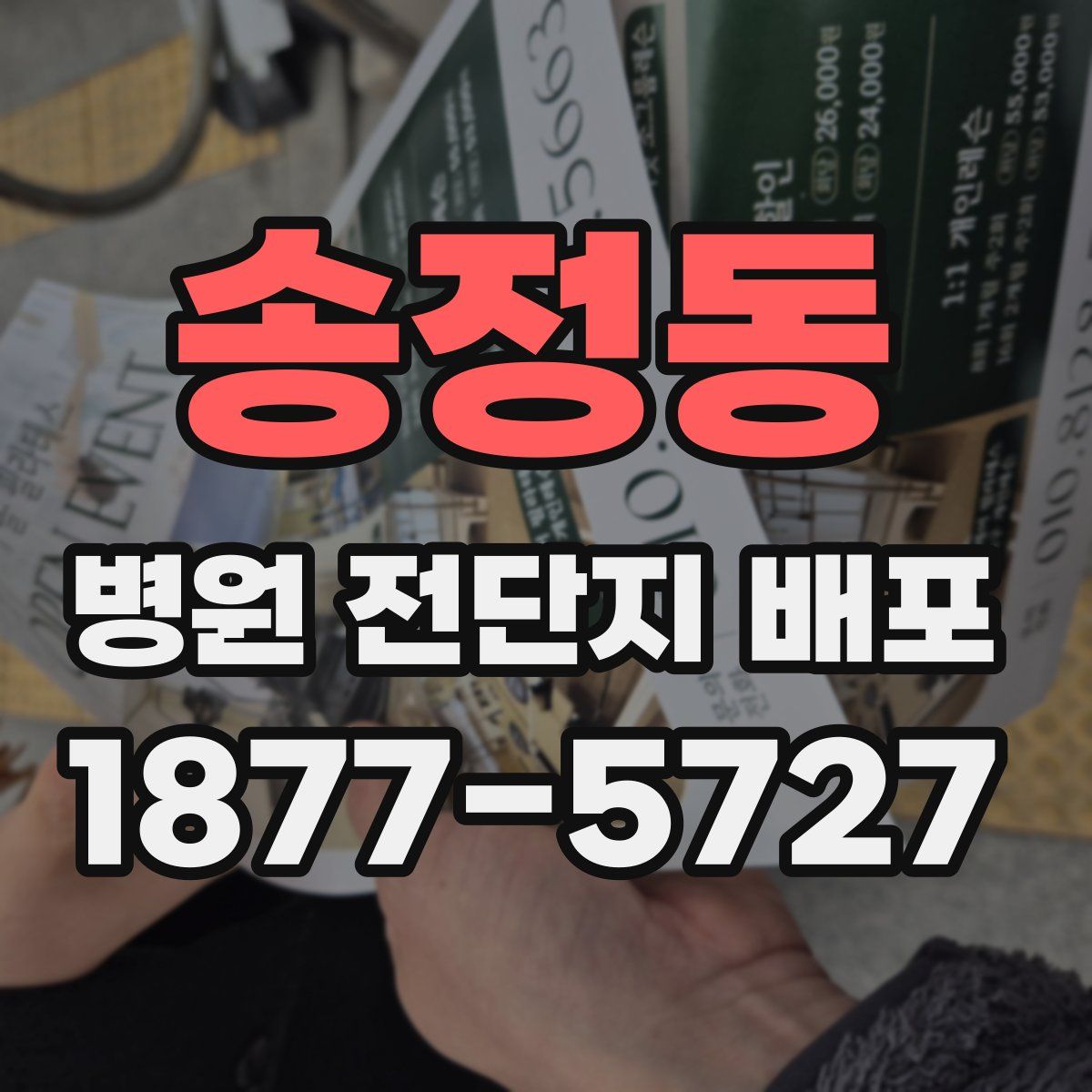송정동 병원 전단지 배포
