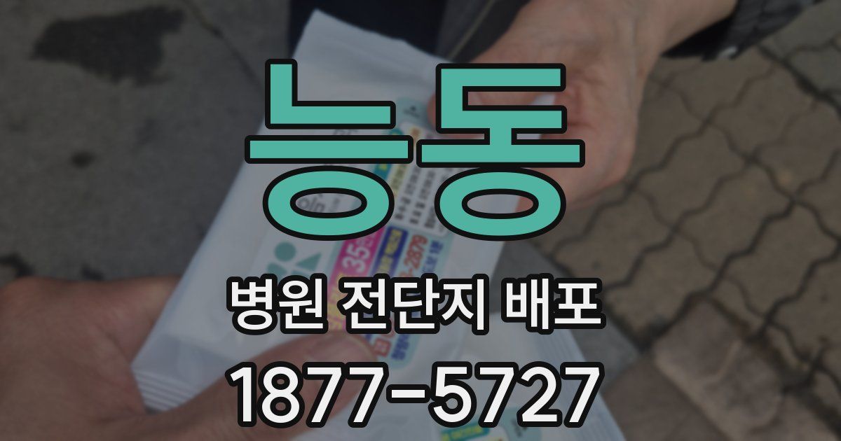 능동 병원 전단지 배포