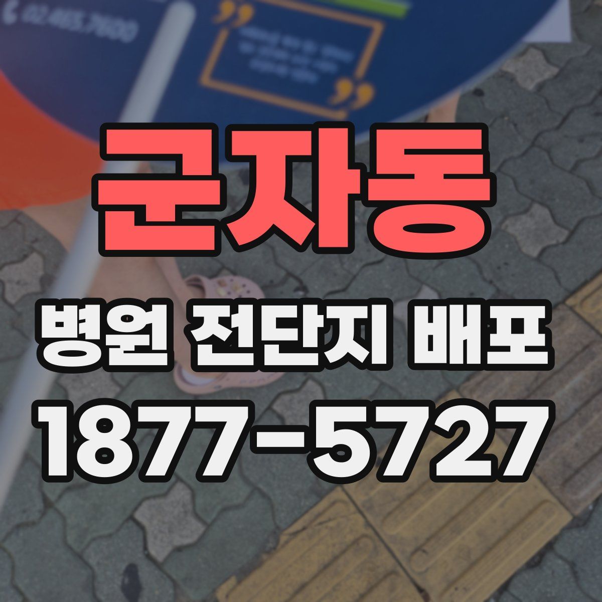군자동 병원 전단지 배포
