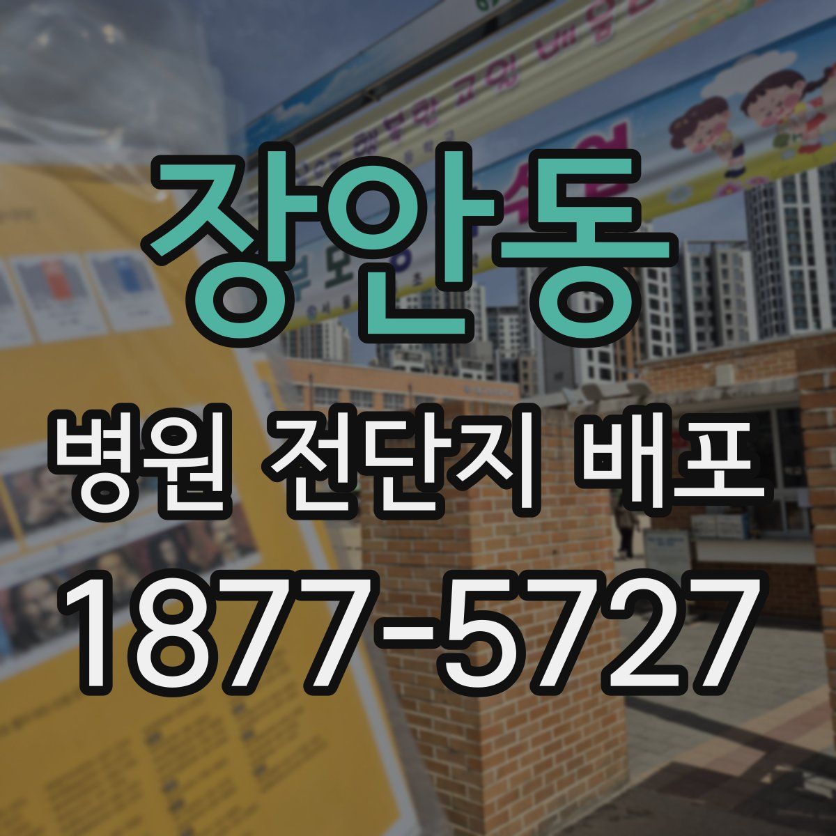 장안동 병원 전단지 배포