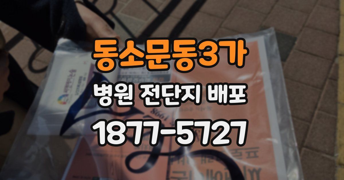 동소문동3가 병원 전단지 배포