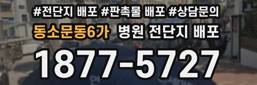 동소문동6가 병원 전단지 배포
