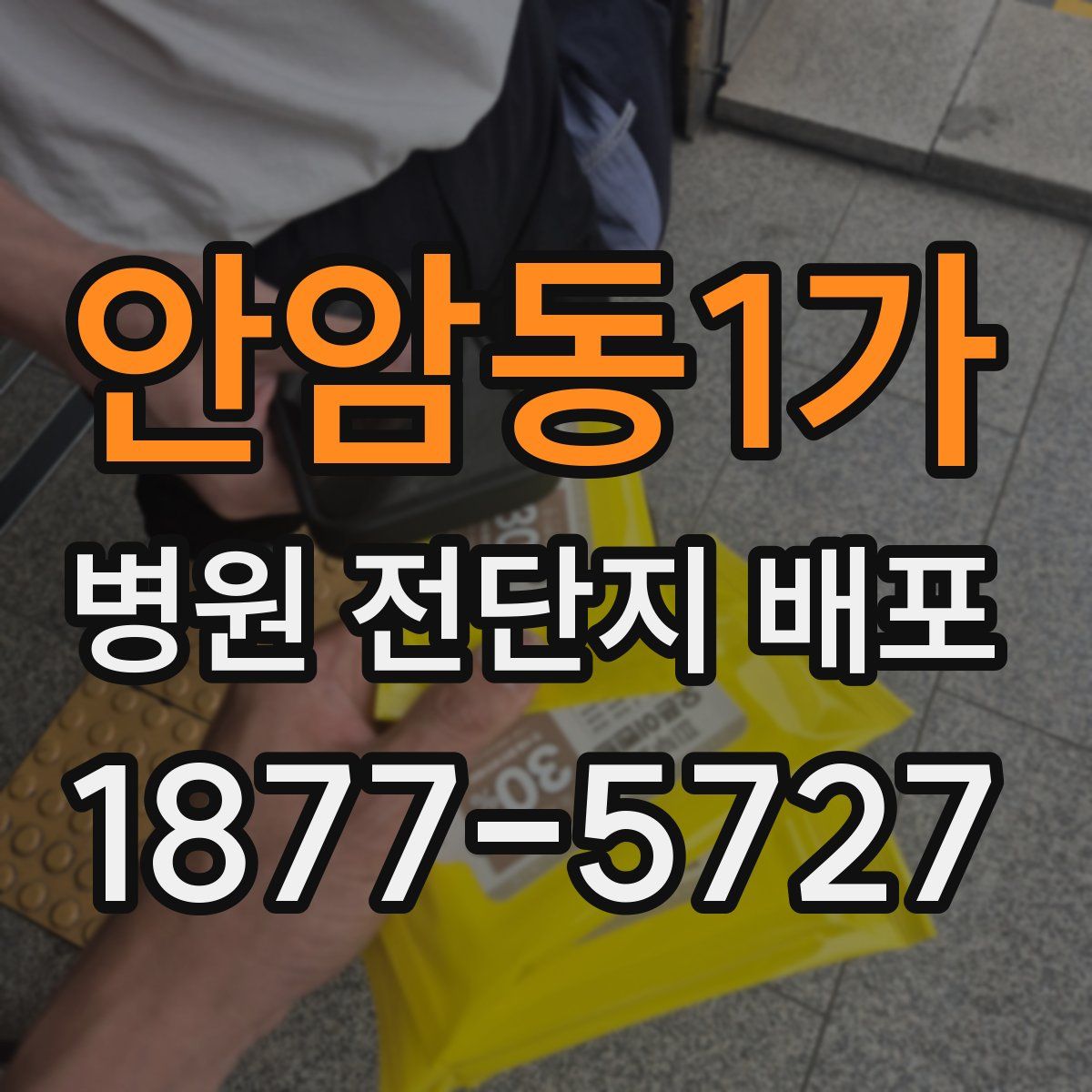 안암동1가 병원 전단지 배포
