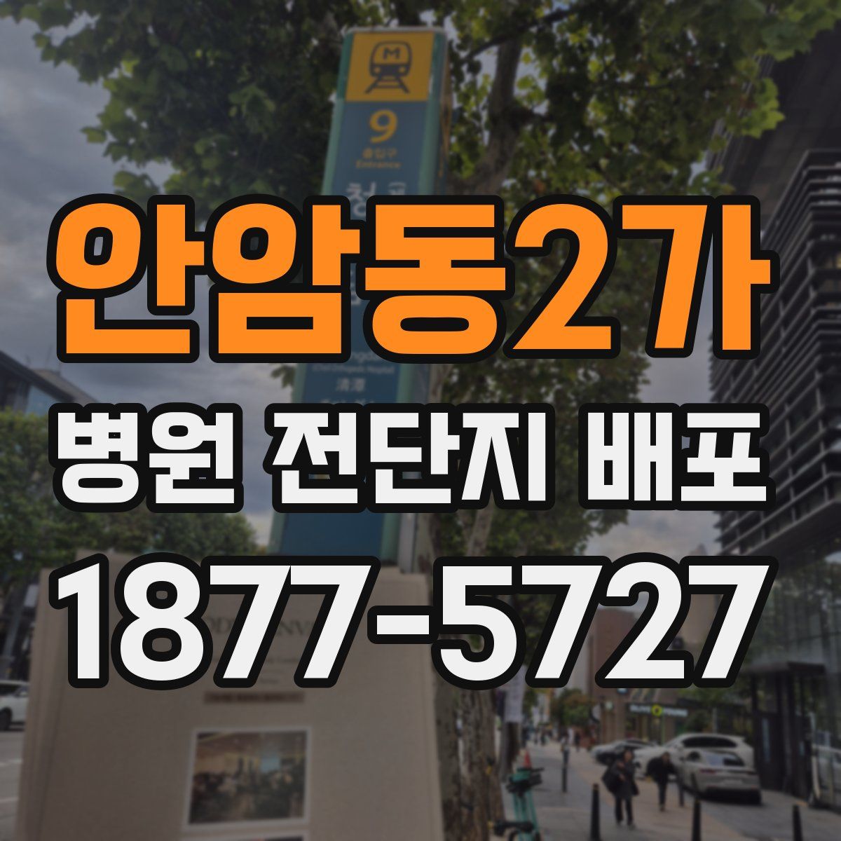안암동2가 병원 전단지 배포