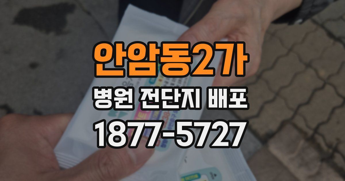 안암동2가 병원 전단지 배포
