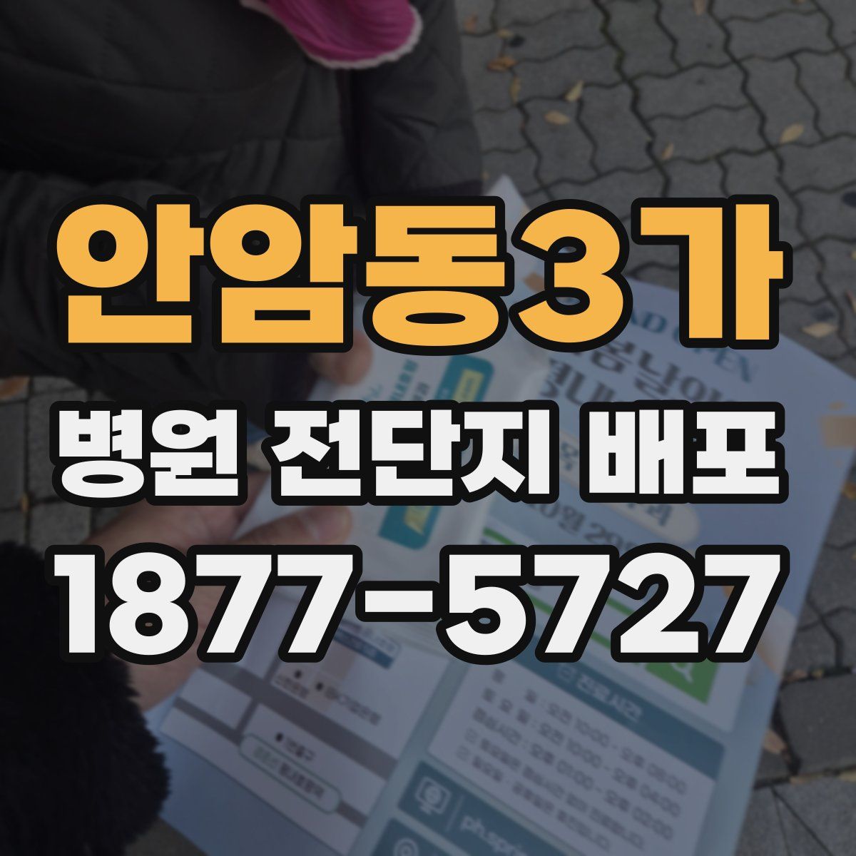 안암동3가 병원 전단지 배포