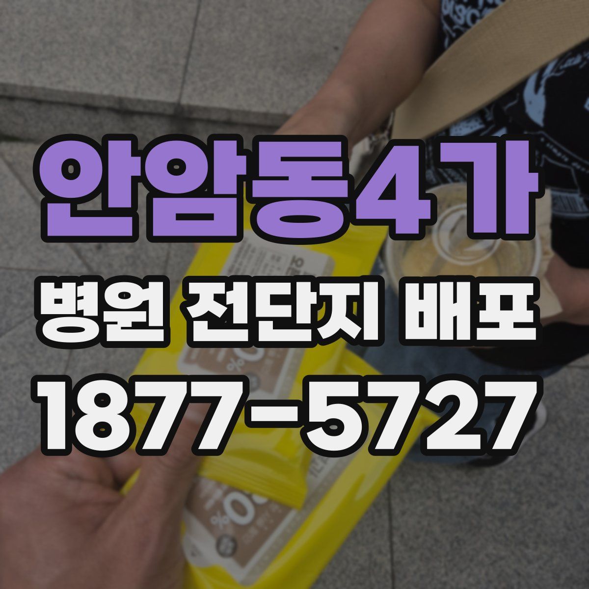 안암동4가 병원 전단지 배포