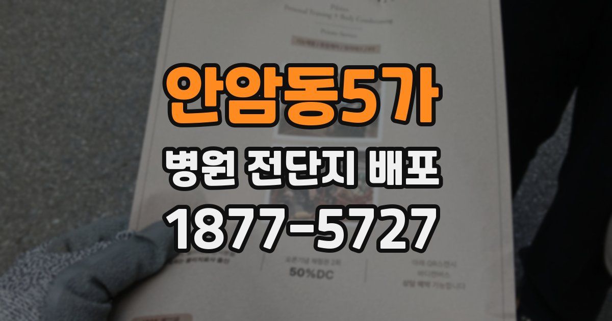 안암동5가 병원 전단지 배포