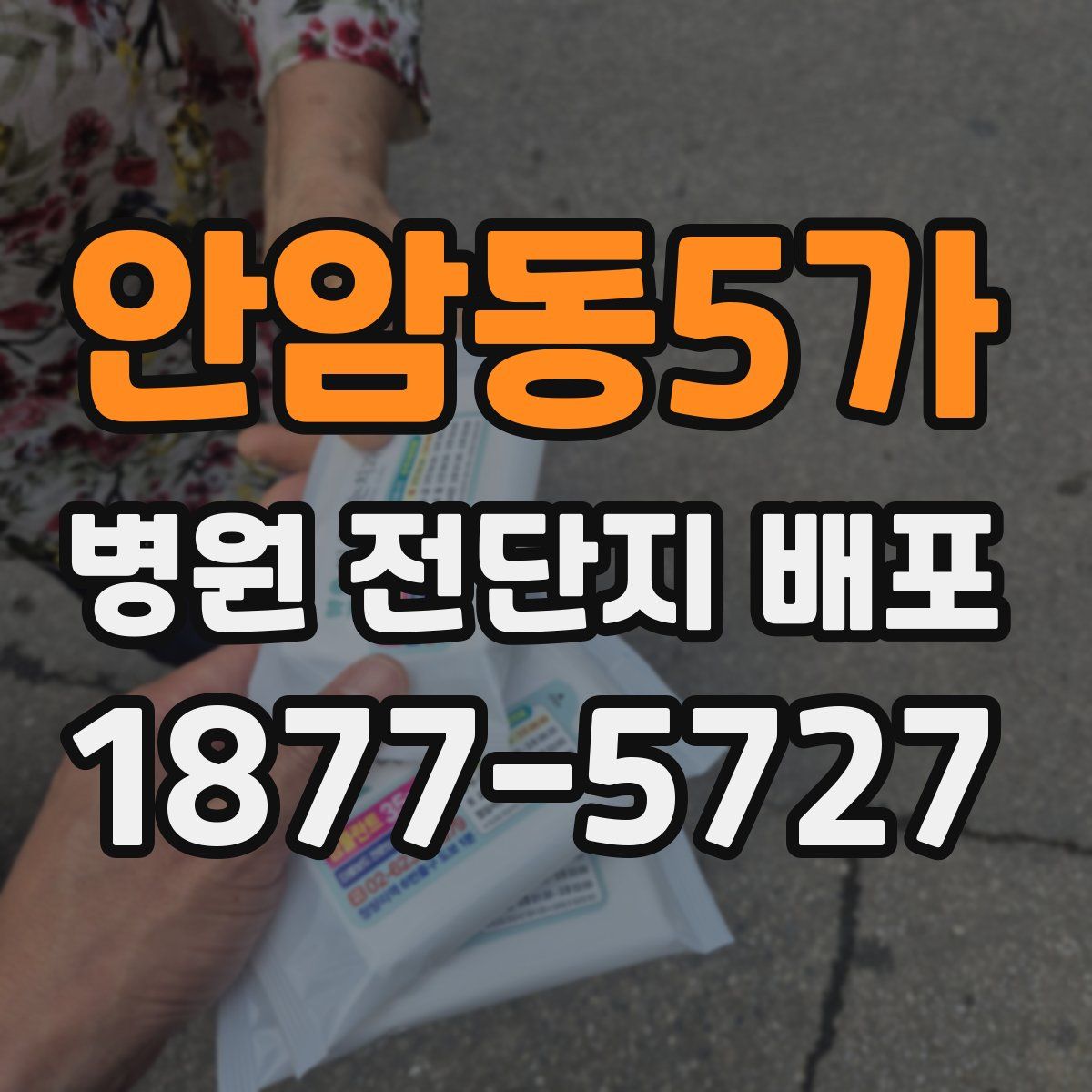 안암동5가 병원 전단지 배포