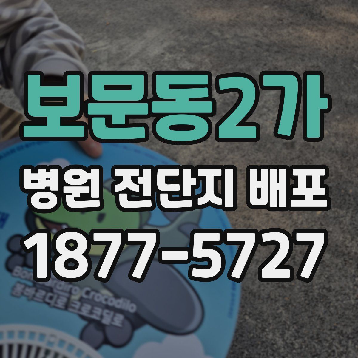 보문동2가 병원 전단지 배포