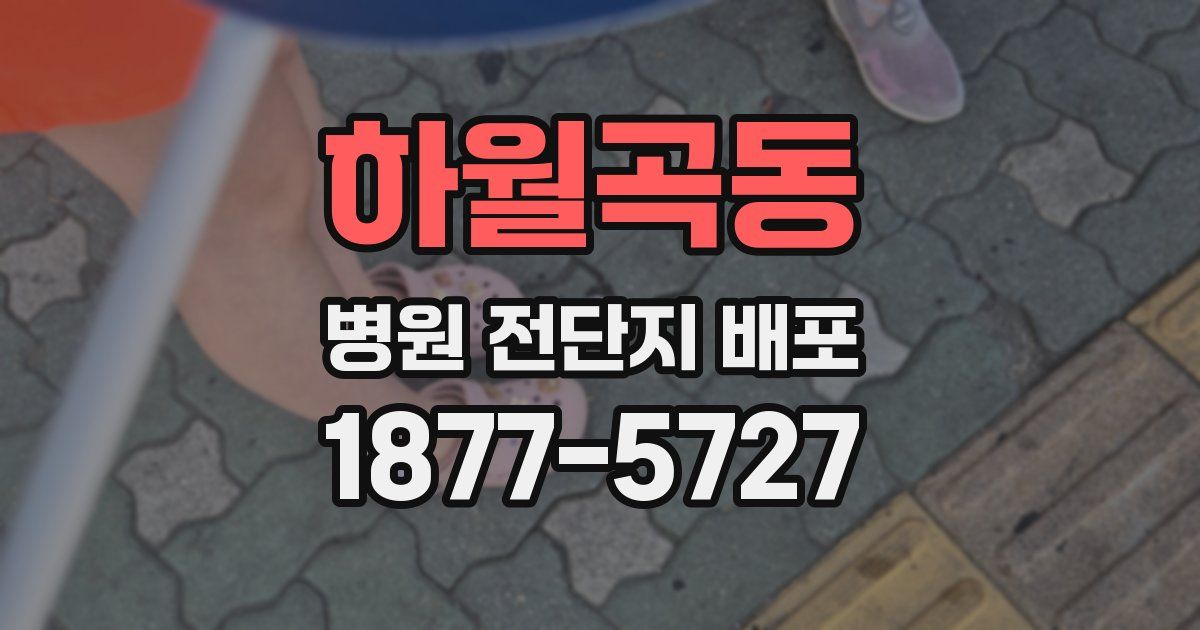 하월곡동 병원 전단지 배포