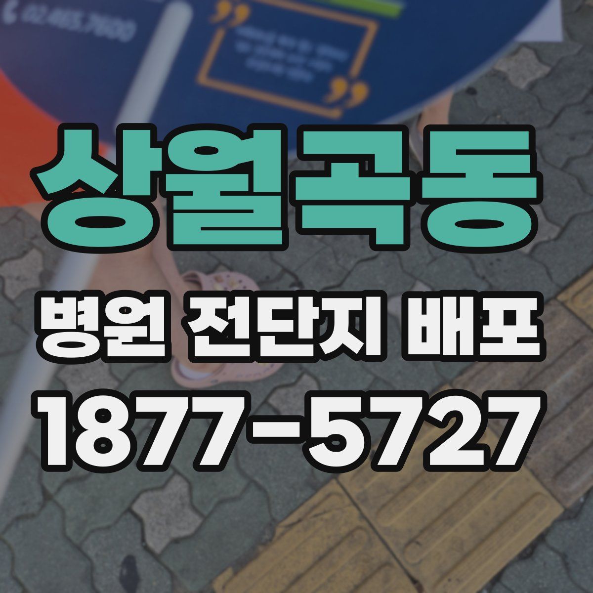 상월곡동 병원 전단지 배포