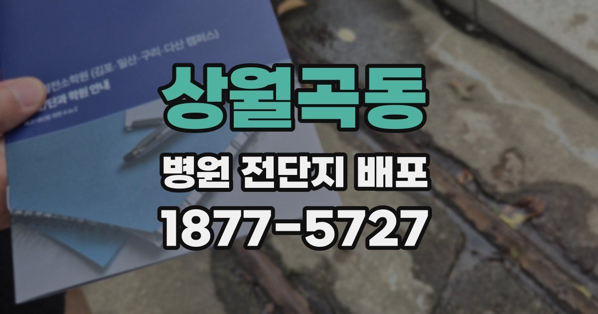 상월곡동 병원 전단지 배포