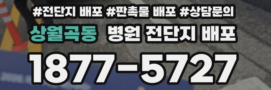 상월곡동 병원 전단지 배포