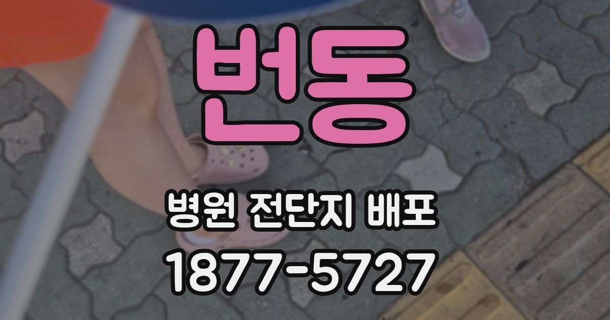 번동 병원 전단지 배포
