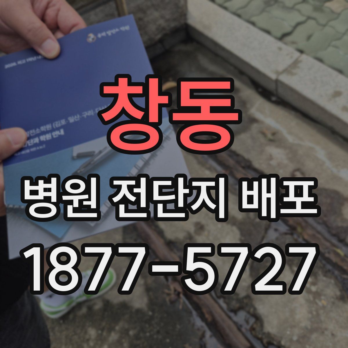 창동 병원 전단지 배포