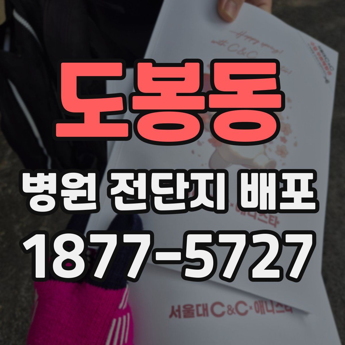 도봉동 병원 전단지 배포