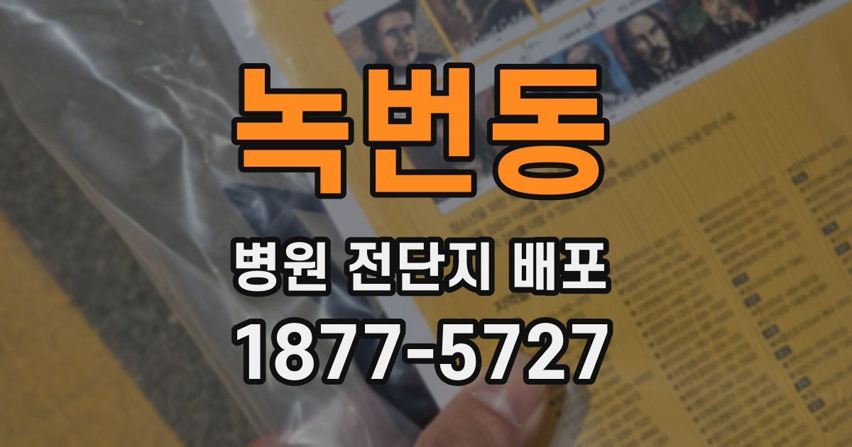 녹번동 병원 전단지 배포