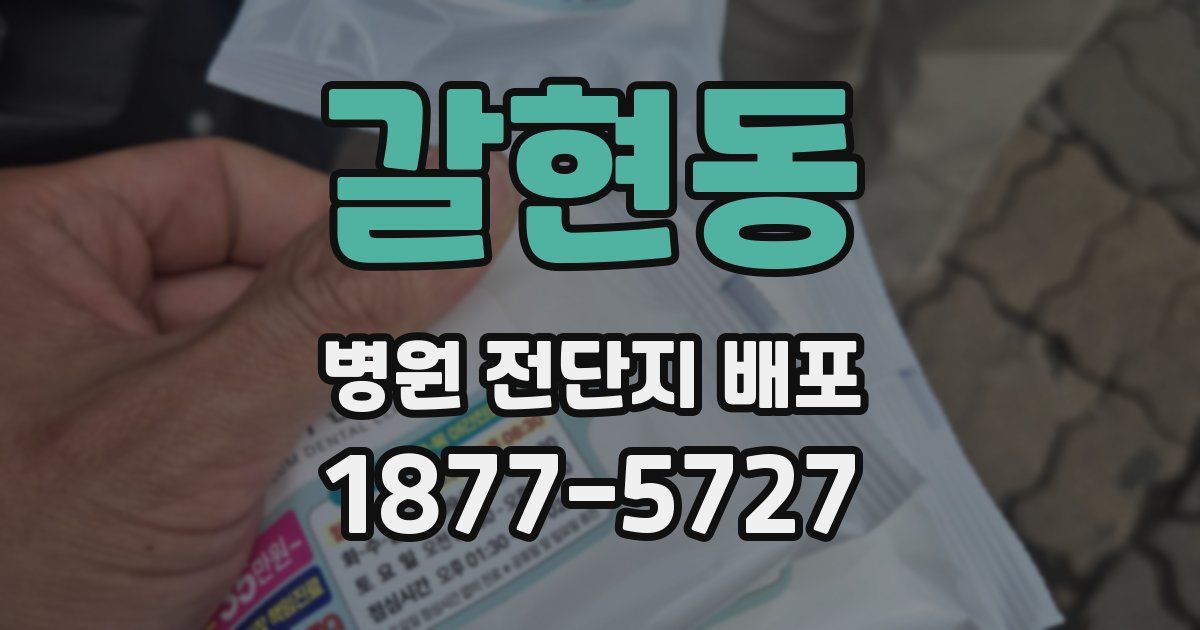 갈현동 병원 전단지 배포