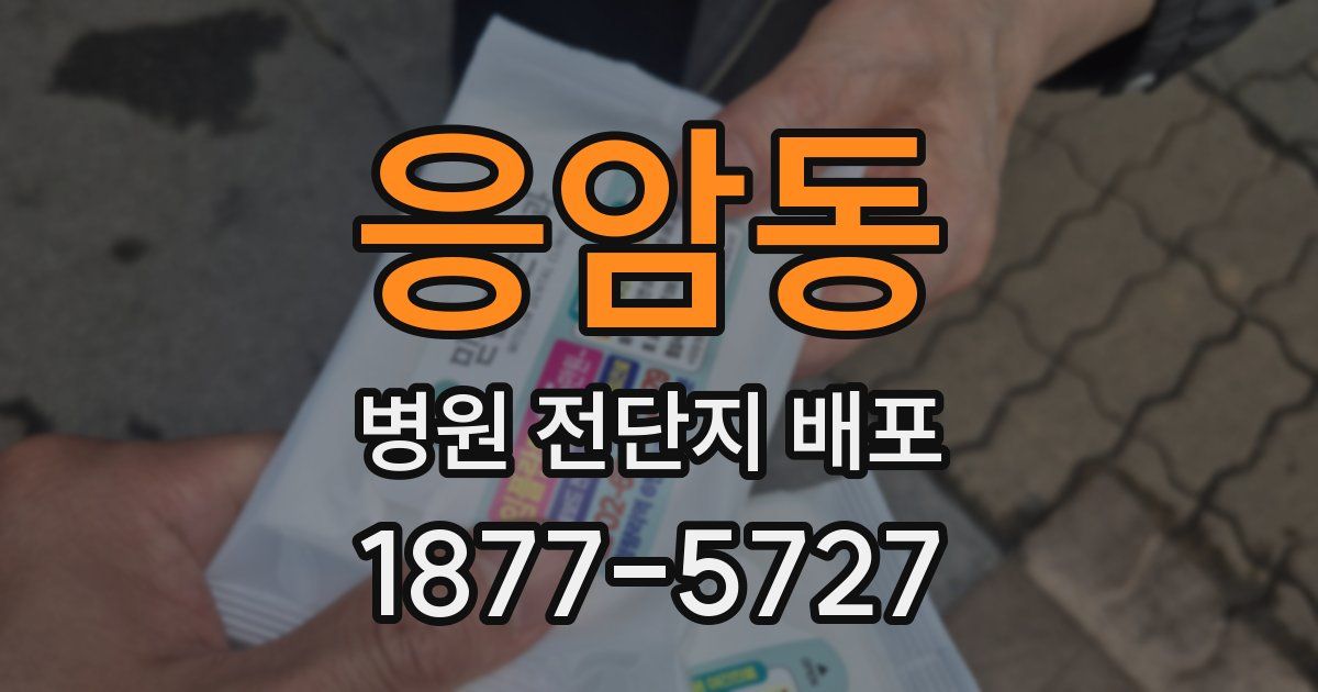 응암동 병원 전단지 배포