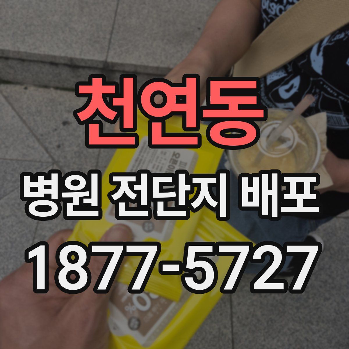 천연동 병원 전단지 배포