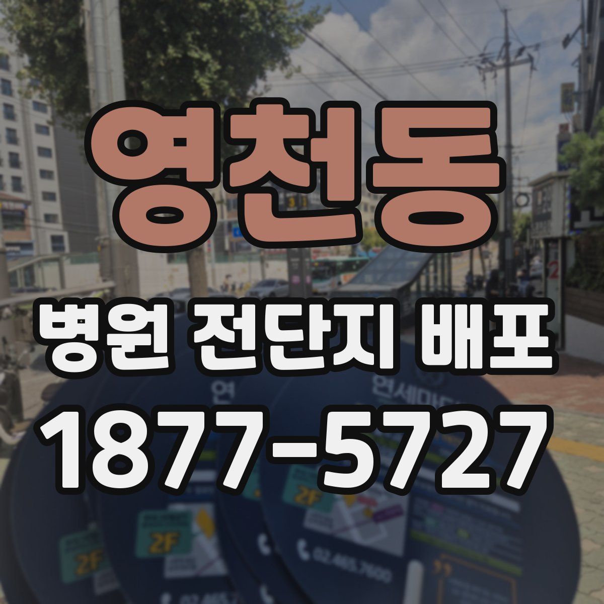 영천동 병원 전단지 배포
