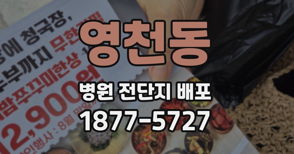 영천동 병원 전단지 배포