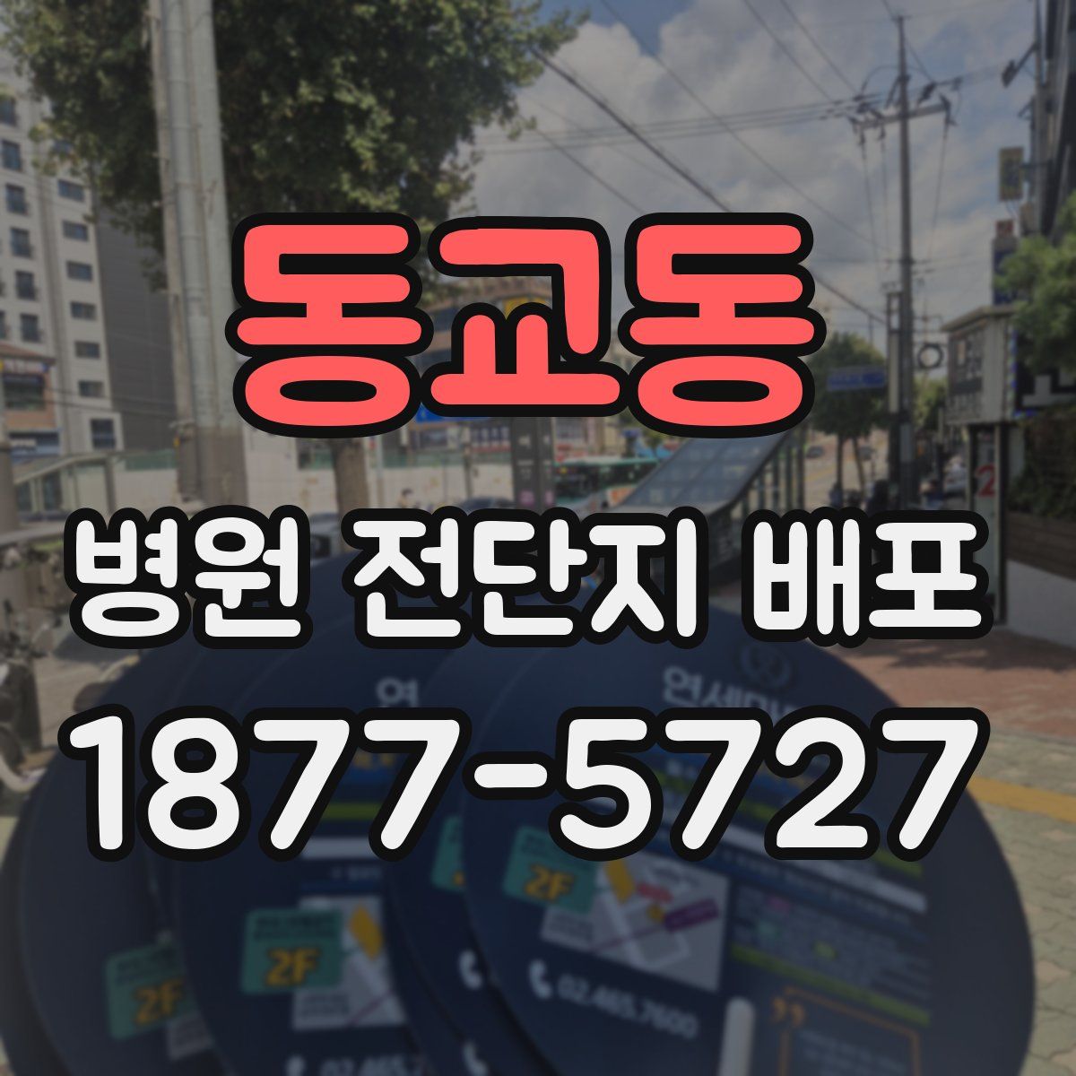 동교동 병원 전단지 배포