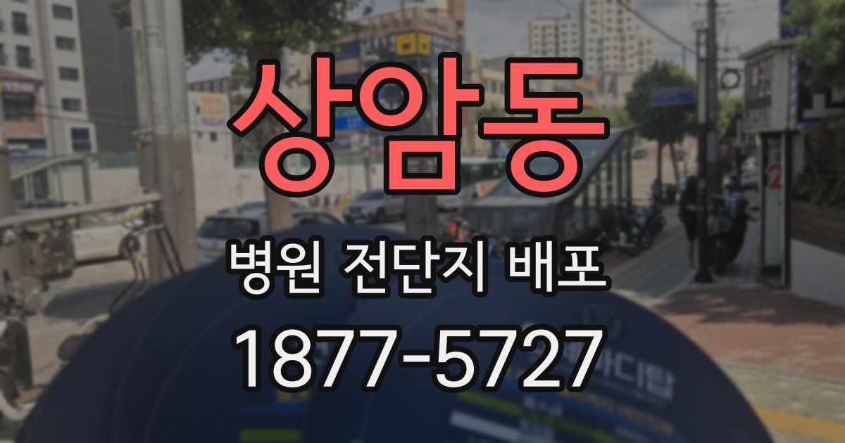상암동 병원 전단지 배포