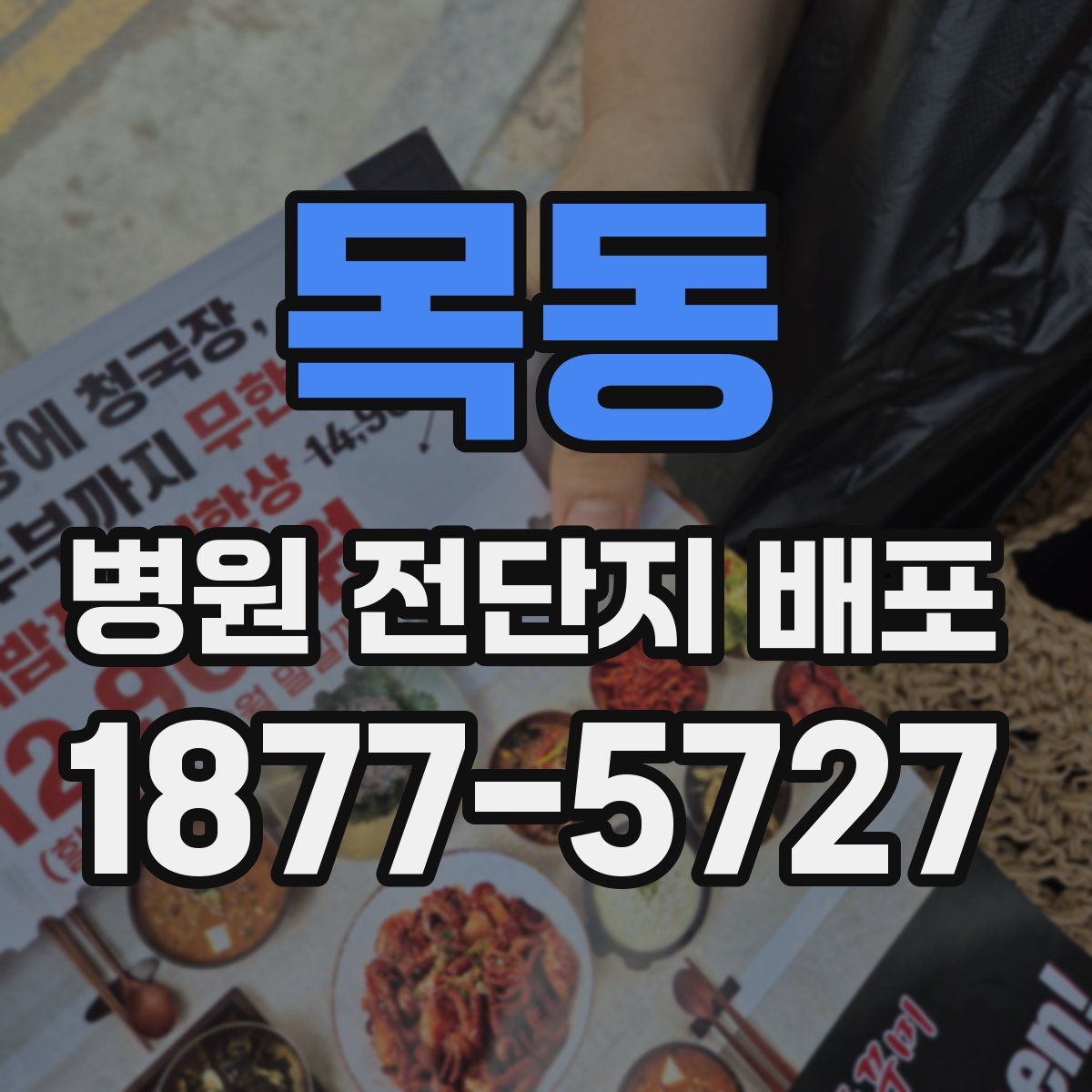 목동 병원 전단지 배포