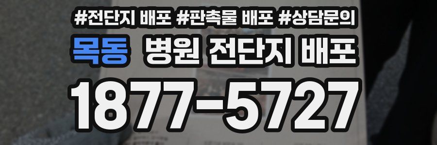 목동 병원 전단지 배포