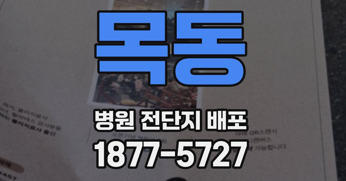 목동 병원 전단지 배포
