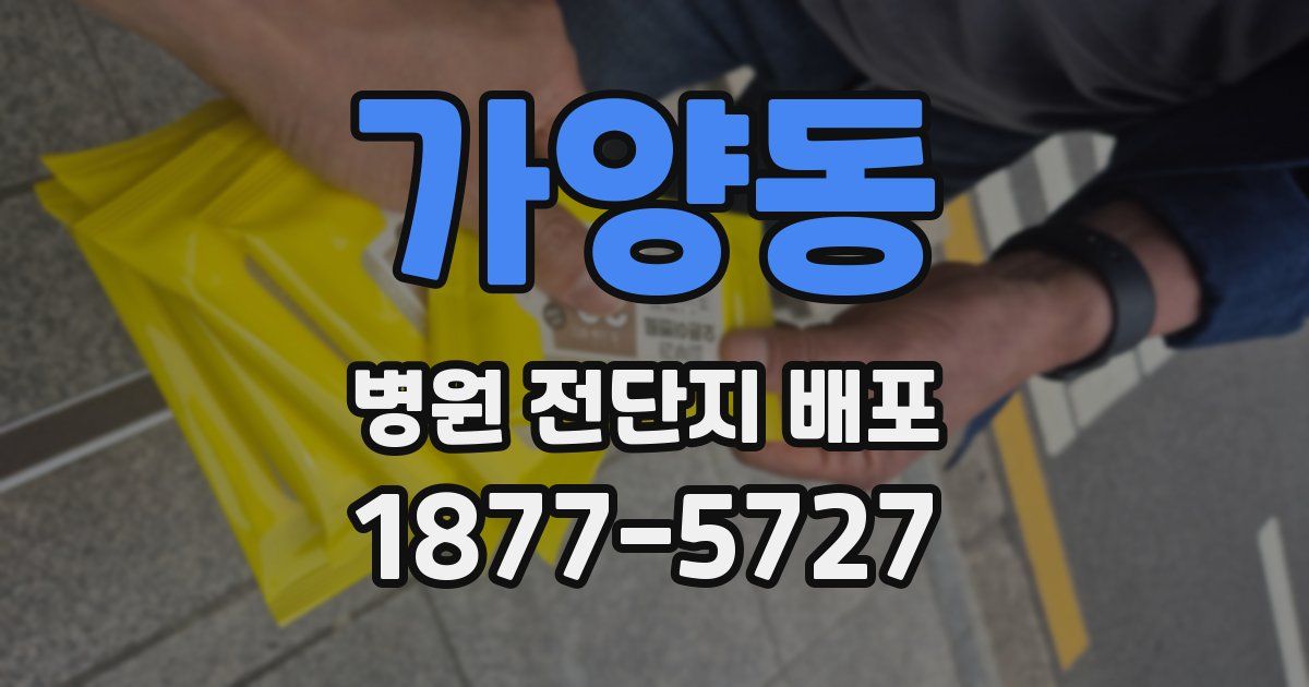 가양동 병원 전단지 배포