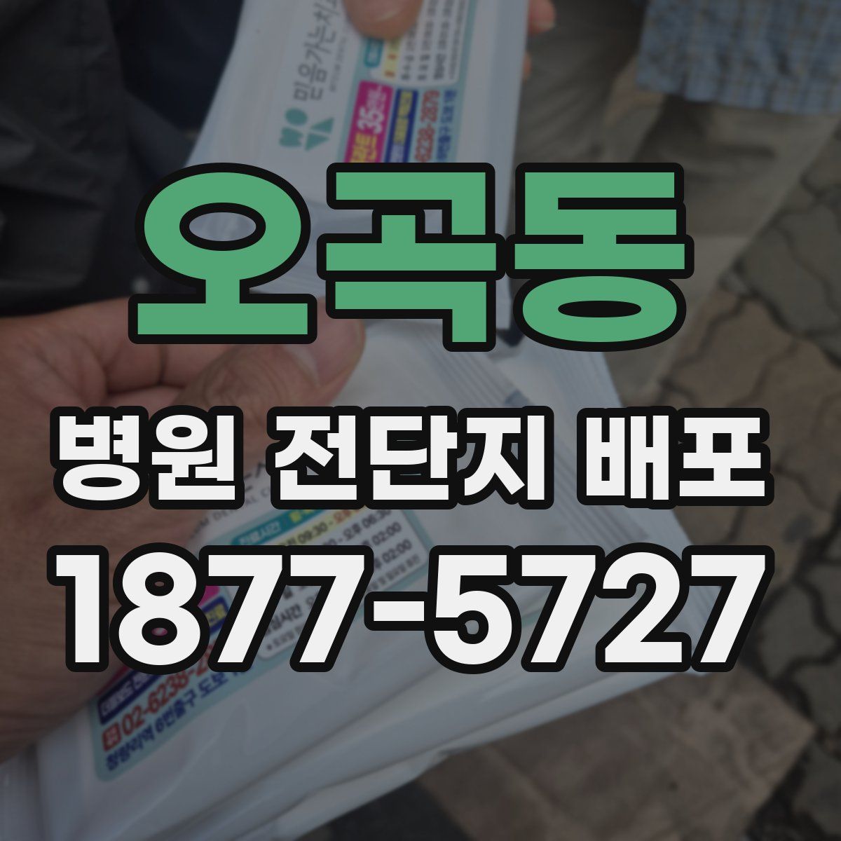 오곡동 병원 전단지 배포