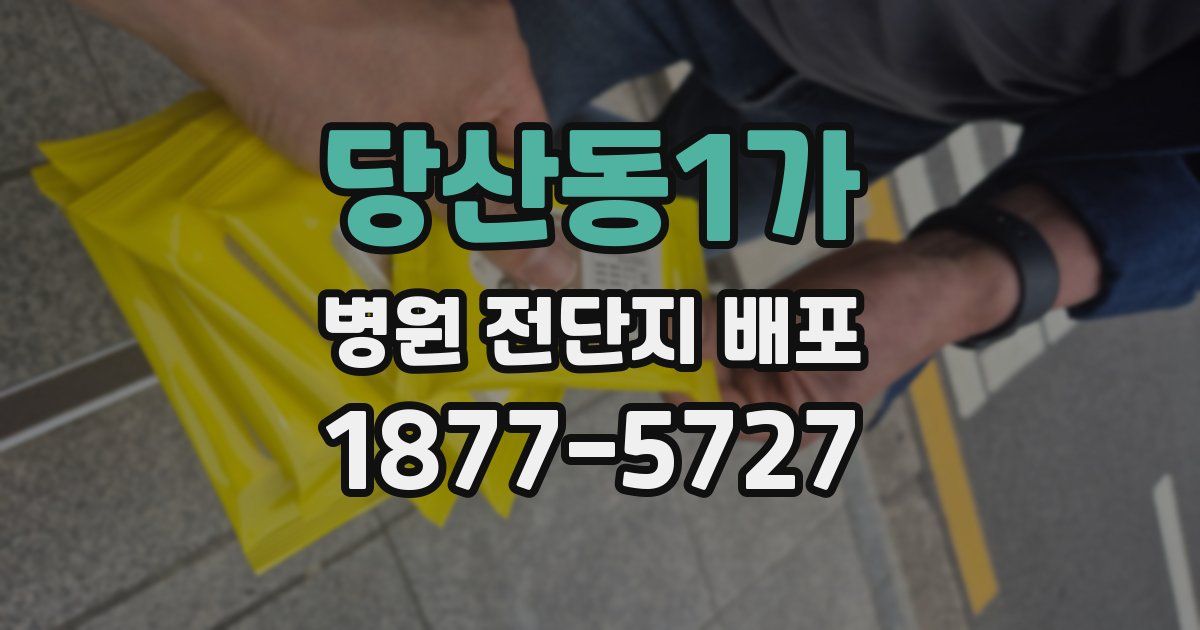 당산동1가 병원 전단지 배포