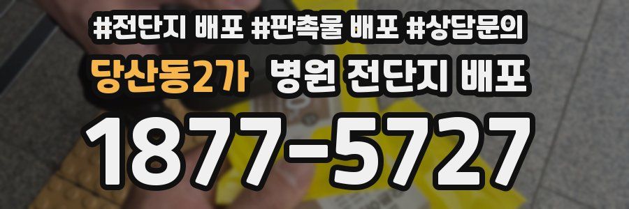 당산동2가 병원 전단지 배포