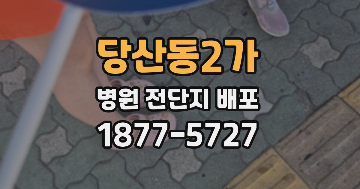 당산동2가 병원 전단지 배포