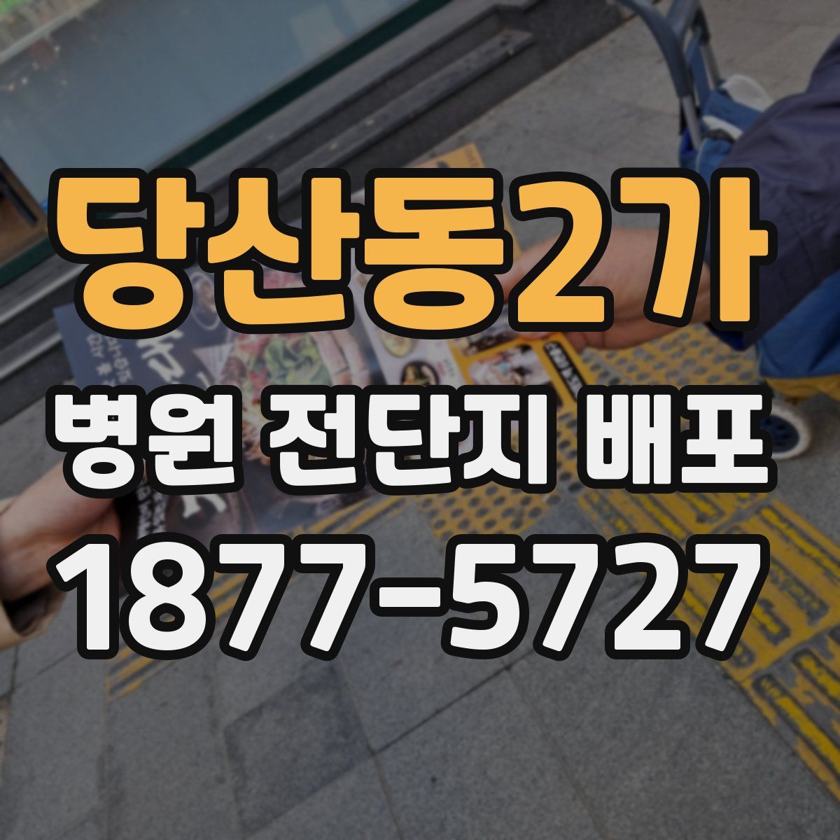 당산동2가 병원 전단지 배포