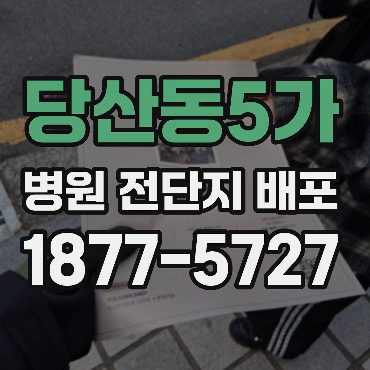 당산동5가 병원 전단지 배포