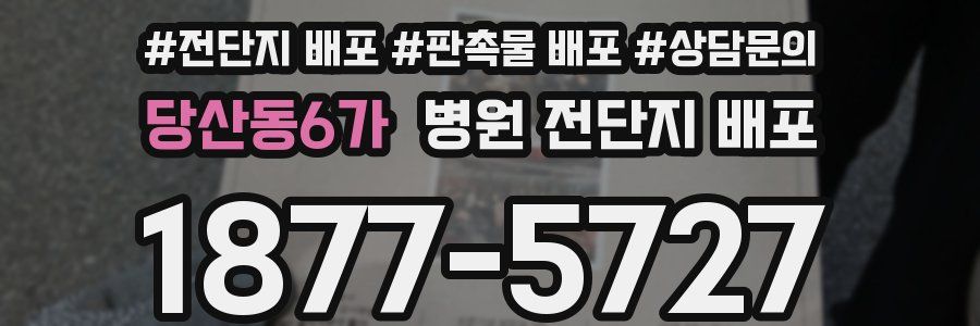 당산동6가 병원 전단지 배포