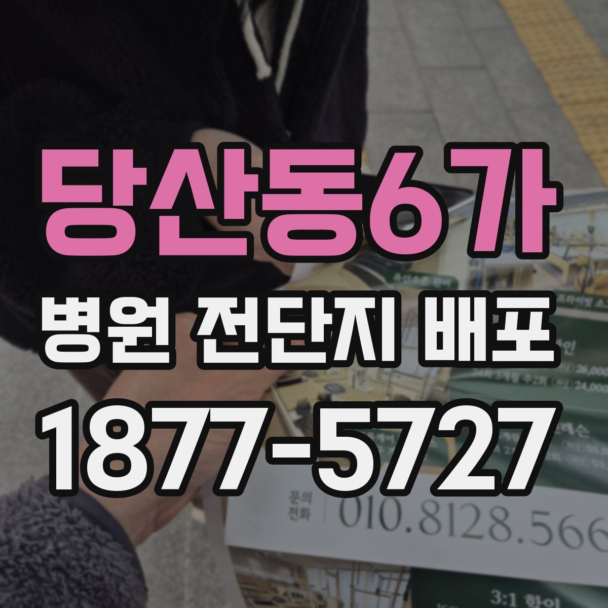당산동6가 병원 전단지 배포