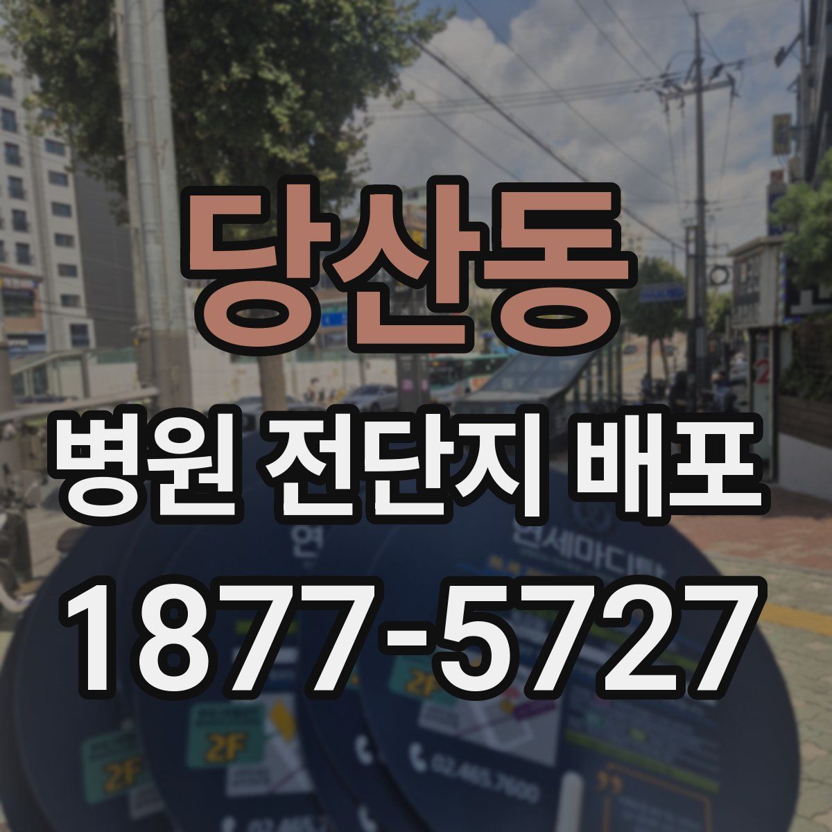 당산동 병원 전단지 배포