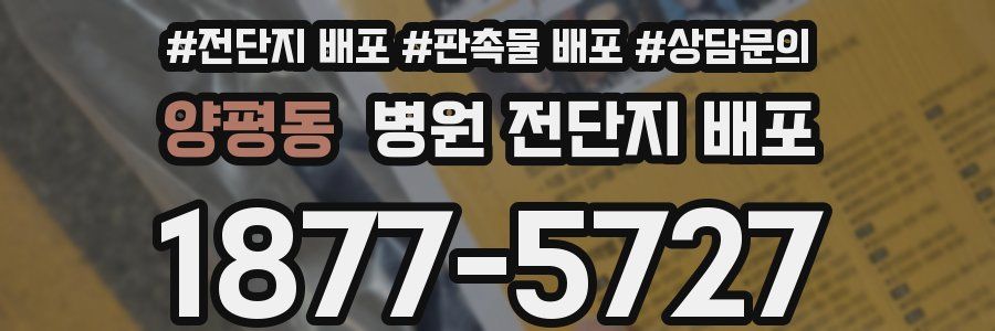 양평동 병원 전단지 배포