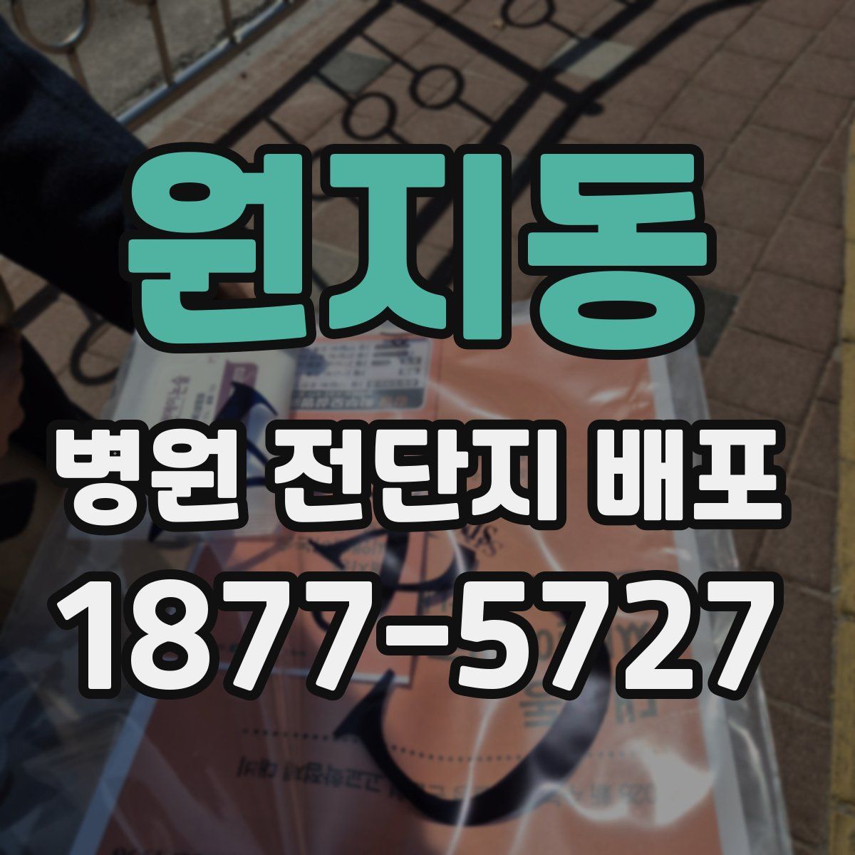 원지동 병원 전단지 배포